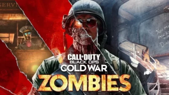 Call of Duty Black Ops Zombies