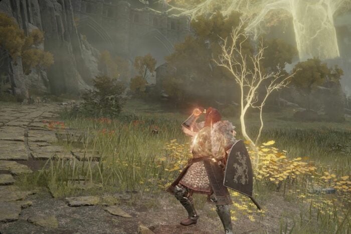 Uncover the Best Keepsake Elden Ring: Top Choices for Every Playstyle