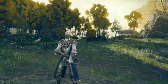 Master Elden Ring Builds: Unleash Your Character's Full Potential