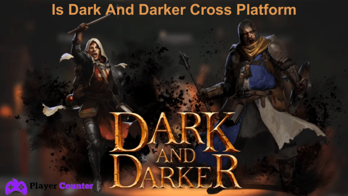 Is Dark And Darker Cross Platform