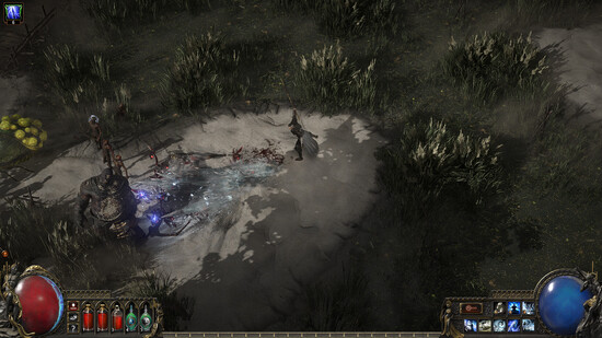 Path of Exile 2 Expected Price