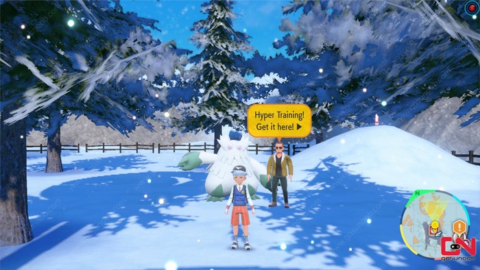 Pokémon Scarlet and Violet Training Guide