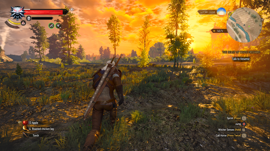 The Witcher 4 Editions