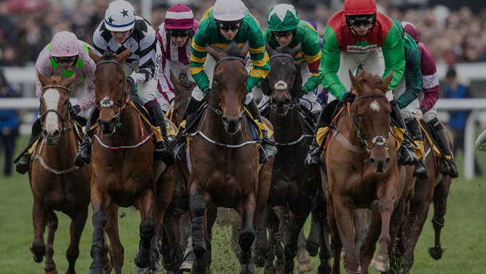 Diving Into the Excitement of the Cheltenham Festival From Your Screen